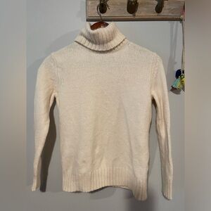 The Limited turtleneck sweater